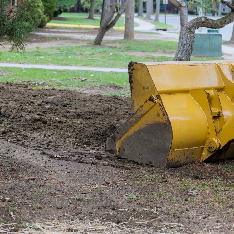 Land Clearing and Excavation in Livingston, TX