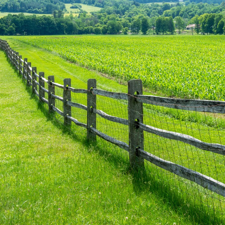 Land Clearing and Excavation in Livingston, TX
