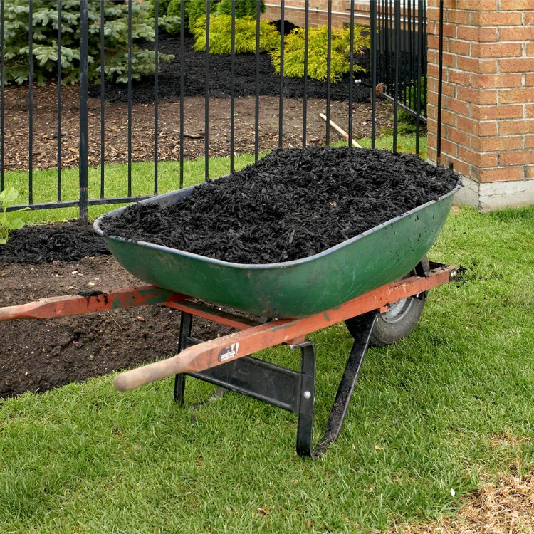 Land Clearing and Excavation in Livingston, TX