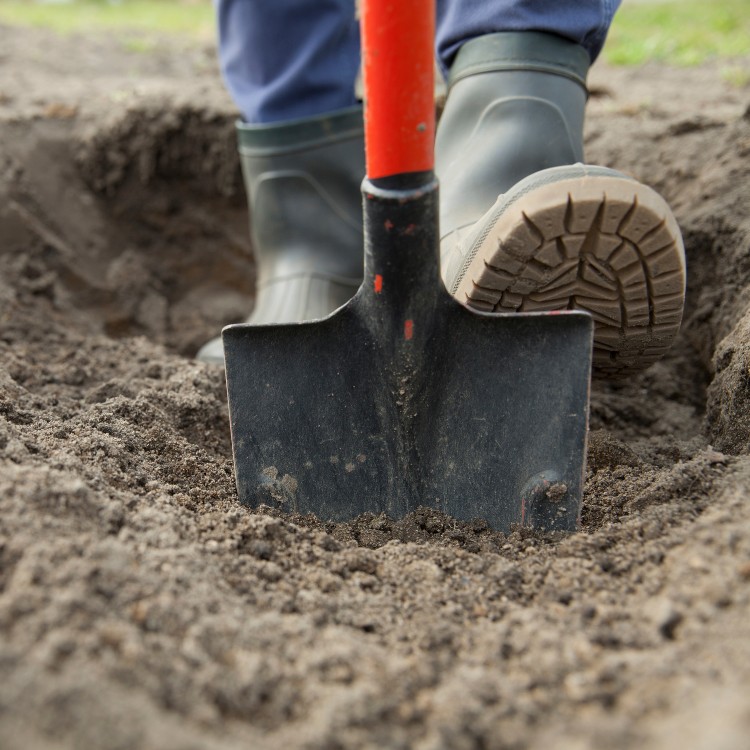 Land Clearing and Excavation in Livingston, TX