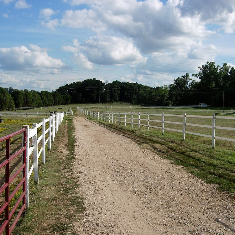 Land Clearing and Excavation in Livingston, TX
