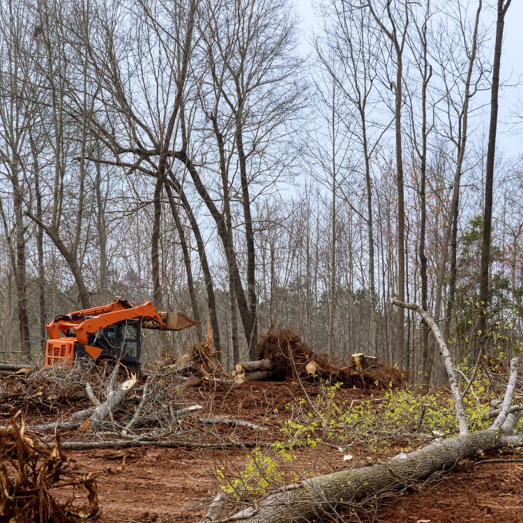 Land Clearing and Excavation in Livingston, TX